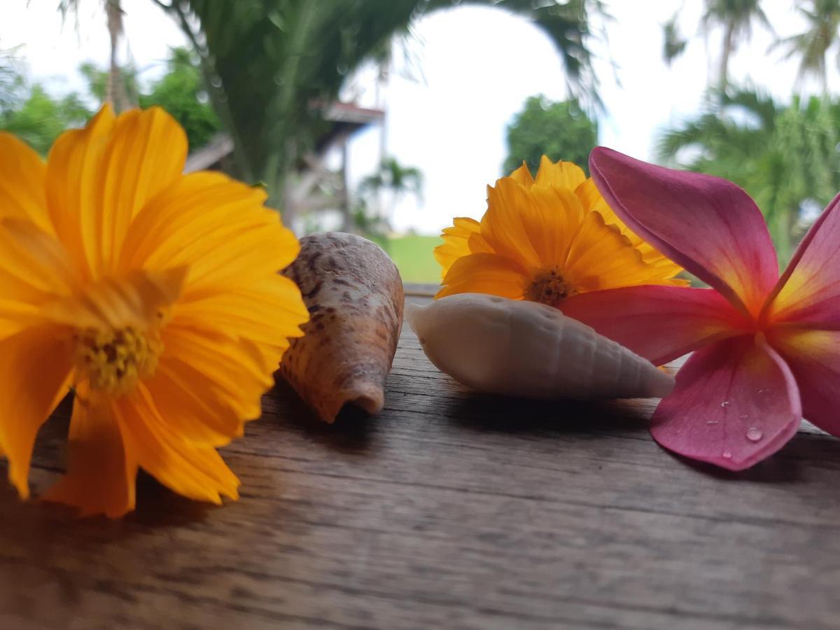 Daluyong Beach Resort 제너럴 루나 외부 사진