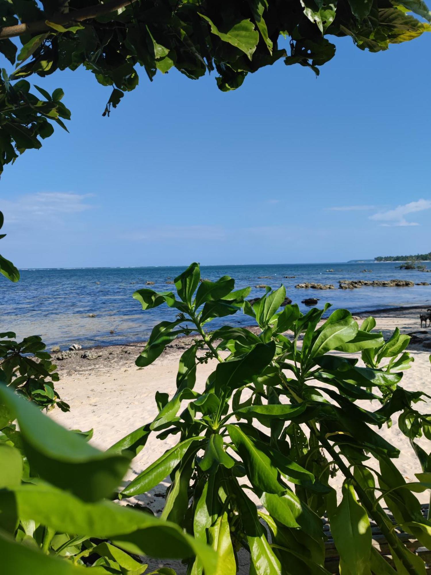 Daluyong Beach Resort 제너럴 루나 외부 사진
